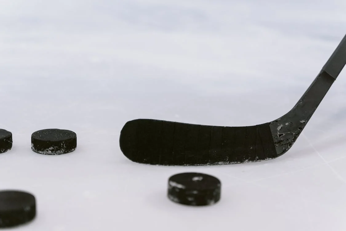 SHL tar initiativ till en hockeypanel med supportrar i svensk världsklass